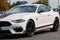 2021 Ford Mustang Mach 1